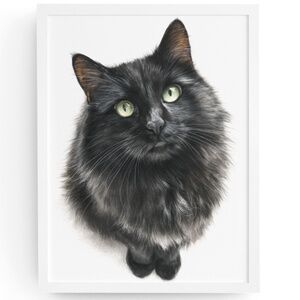Watercolor Siberian Black Cat Art Print Illustartion - Pet Portrait - Unframed